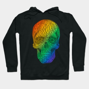 Rainbow skull design with black lines Hoodie